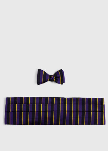 Paul Stuart Bow Tie & Cummerbund Set