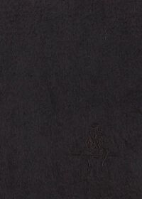 Paul Stuart Oversized Cashmere Logo Scarf, thumbnail 2