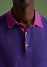 Paul Stuart Cotton Long Sleeve Polo, thumbnail 4