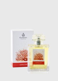 Paul Stuart Carthusia Corallium Eau de Parfum, thumbnail 1