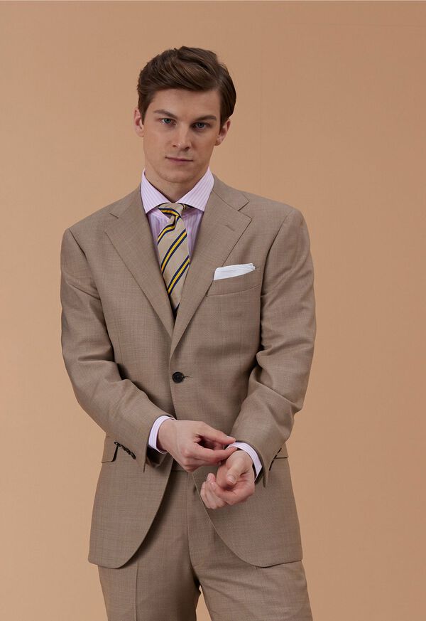 Paul Stuart Tan Suit Look, image 1