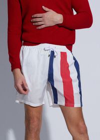 Paul Stuart Printed Flag Swim Shorts, thumbnail 2