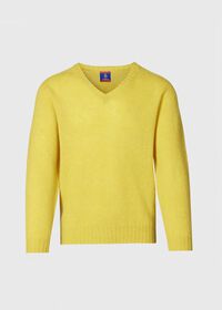 Paul Stuart Shetland Wool V-Neck Sweater, thumbnail 1