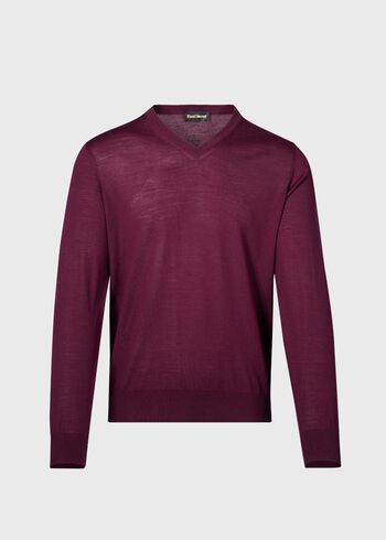 Paul Stuart Essential Merino Wool V-neck Sweater
