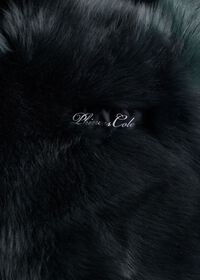 Paul Stuart Long Hair Shearling Coat, thumbnail 6