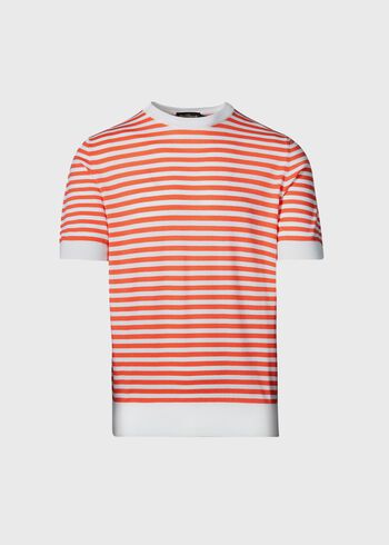 Paul Stuart Stripe Knit Short Sleeve Crewneck