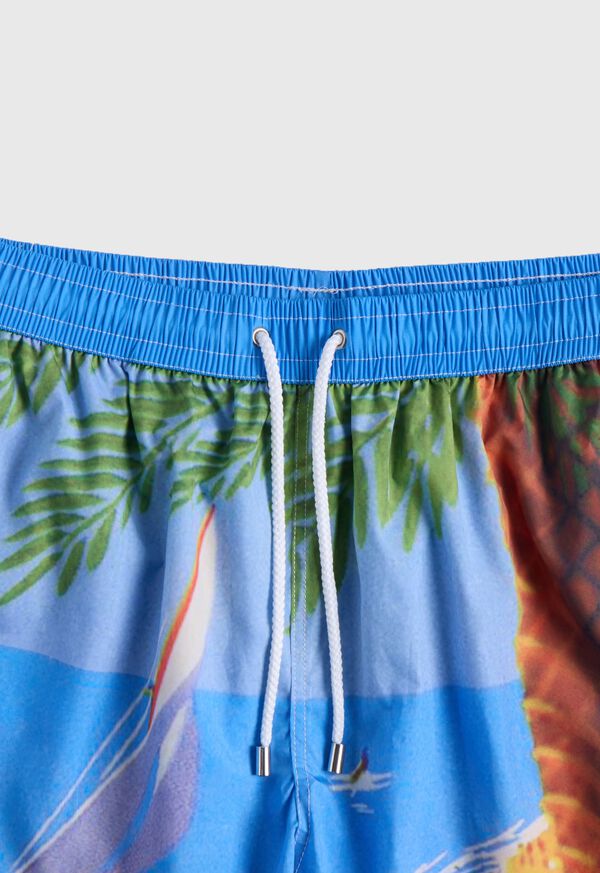 Paul Stuart Beach Scene Swim Trunk, image 2