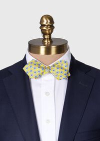 Paul Stuart Silk Twill Tossed Paisley Bow TIe, thumbnail 2