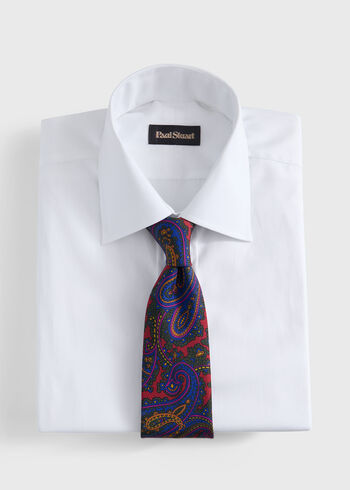 Paul Stuart Ornate Paisley Print Silk Tie