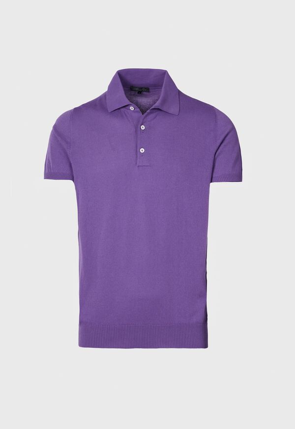 Paul Stuart Cotton Knit Polo Shirt