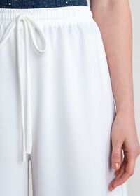 Paul Stuart Wide Leg Pant, thumbnail 2