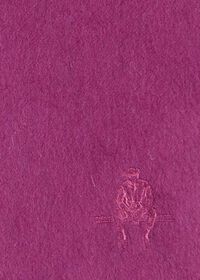 Paul Stuart Cashmere Solid Color Scarf with Embroidered Logo, thumbnail 36