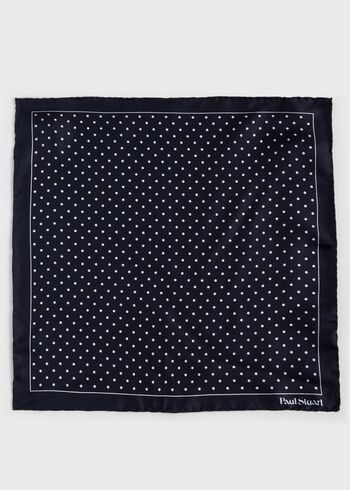 Paul Stuart Printed Silk Dot Pocket Square