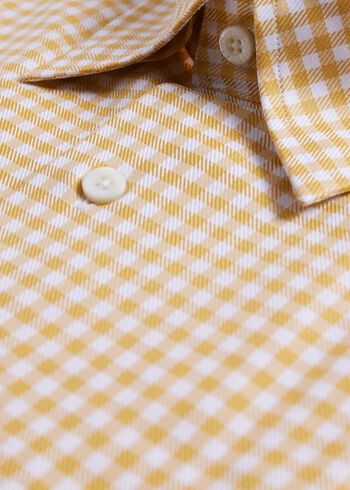 Paul Stuart Gingham Check Twill Sport Shirt