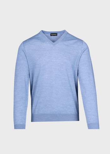 Paul Stuart Essential Merino Wool V-neck Sweater
