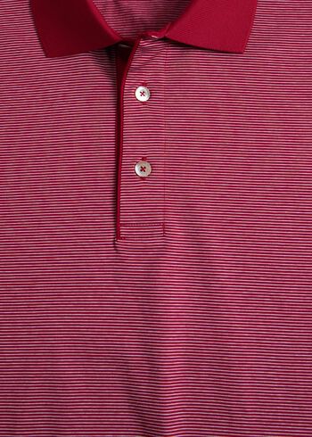 Paul Stuart Italian Cotton Micro Stripe Polo