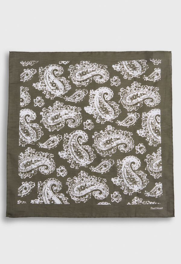 Paul Stuart Tossed Paisley Print Pocket Square, image 3