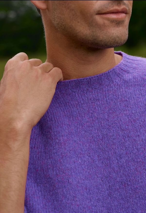 Paul Stuart Shetland Wool Crewneck Sweater, image 4