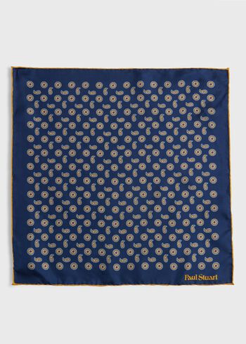 Paul Stuart Printed Silk Tossed Medallion Pocket Square
