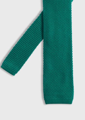 Paul Stuart Cashmere Knit Tie