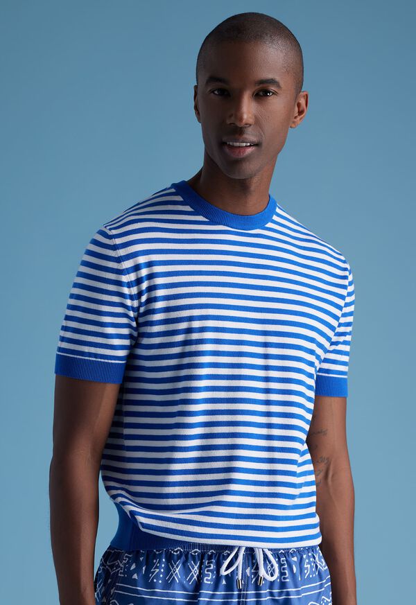 Paul Stuart Stripe Knit Short Sleeve Crewneck, image 2