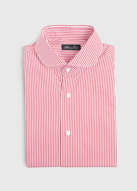 Paul Stuart Stripe Round Collar Dress Shirt, thumbnail 3