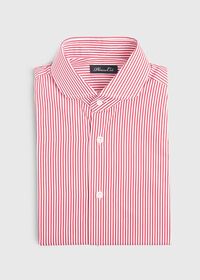 Paul Stuart Stripe Round Collar Dress Shirt, thumbnail 1