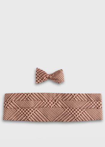 Paul Stuart Printed Silk Formal Set