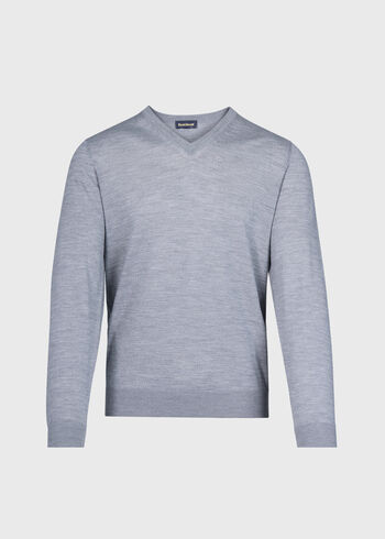 Paul Stuart Essential Merino Wool V-neck Sweater