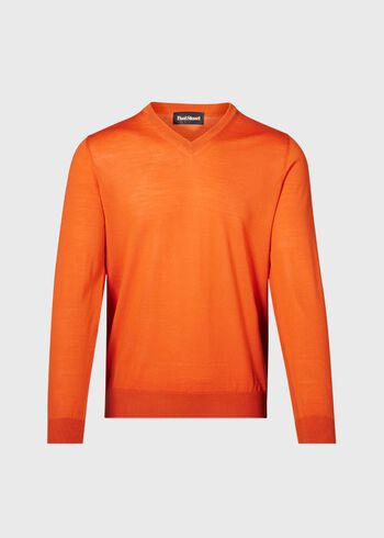 Paul Stuart Essential Merino Wool V-neck Sweater
