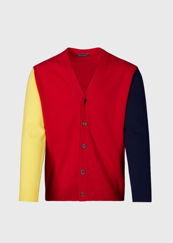 Paul Stuart Wool Colorblock Cardigan